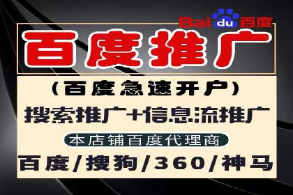 某知名品牌SEM优化托管的策略与成果